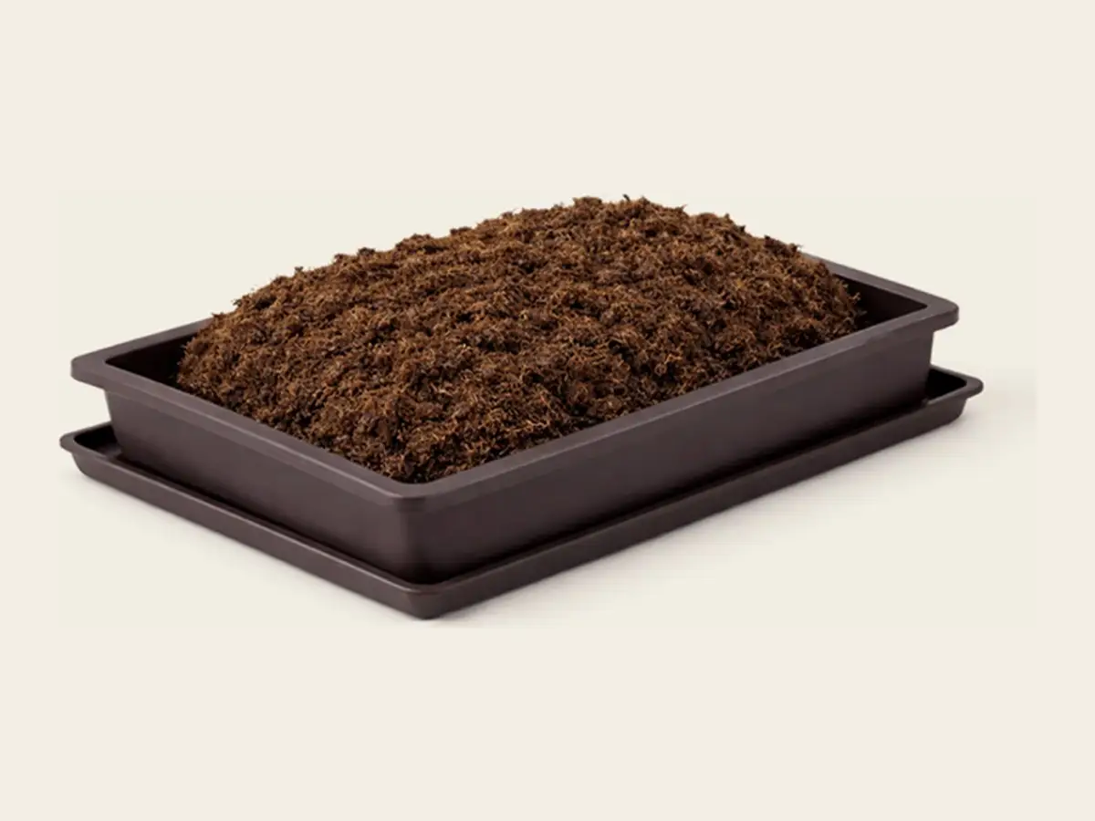 A tray filled with fully expanded, fluffy coconut coir