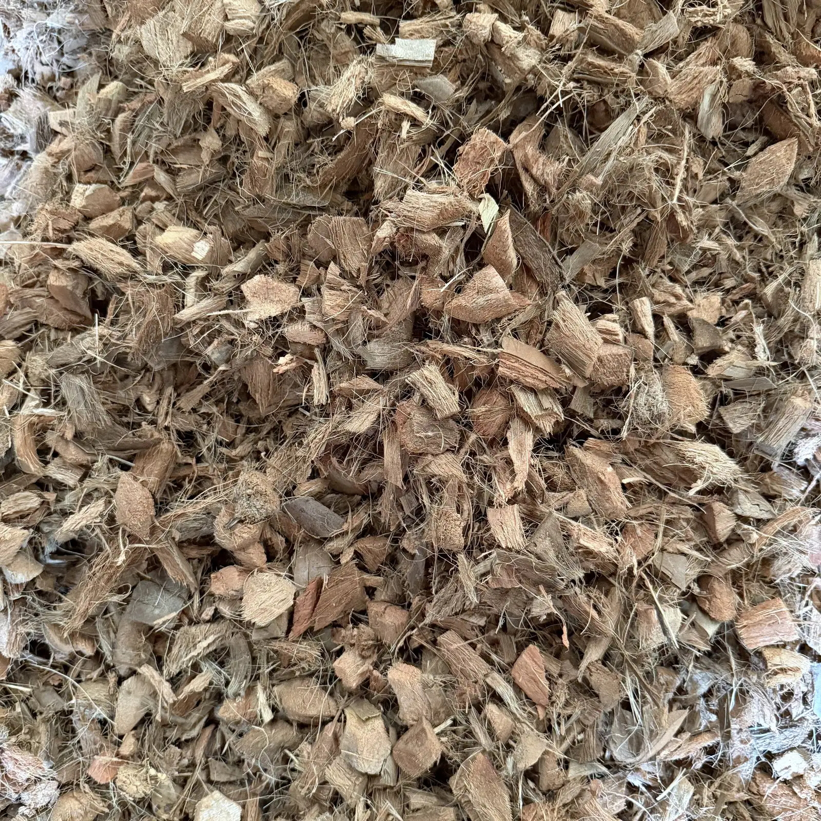Close-up of coconut husk cut into small, fibrous pieces