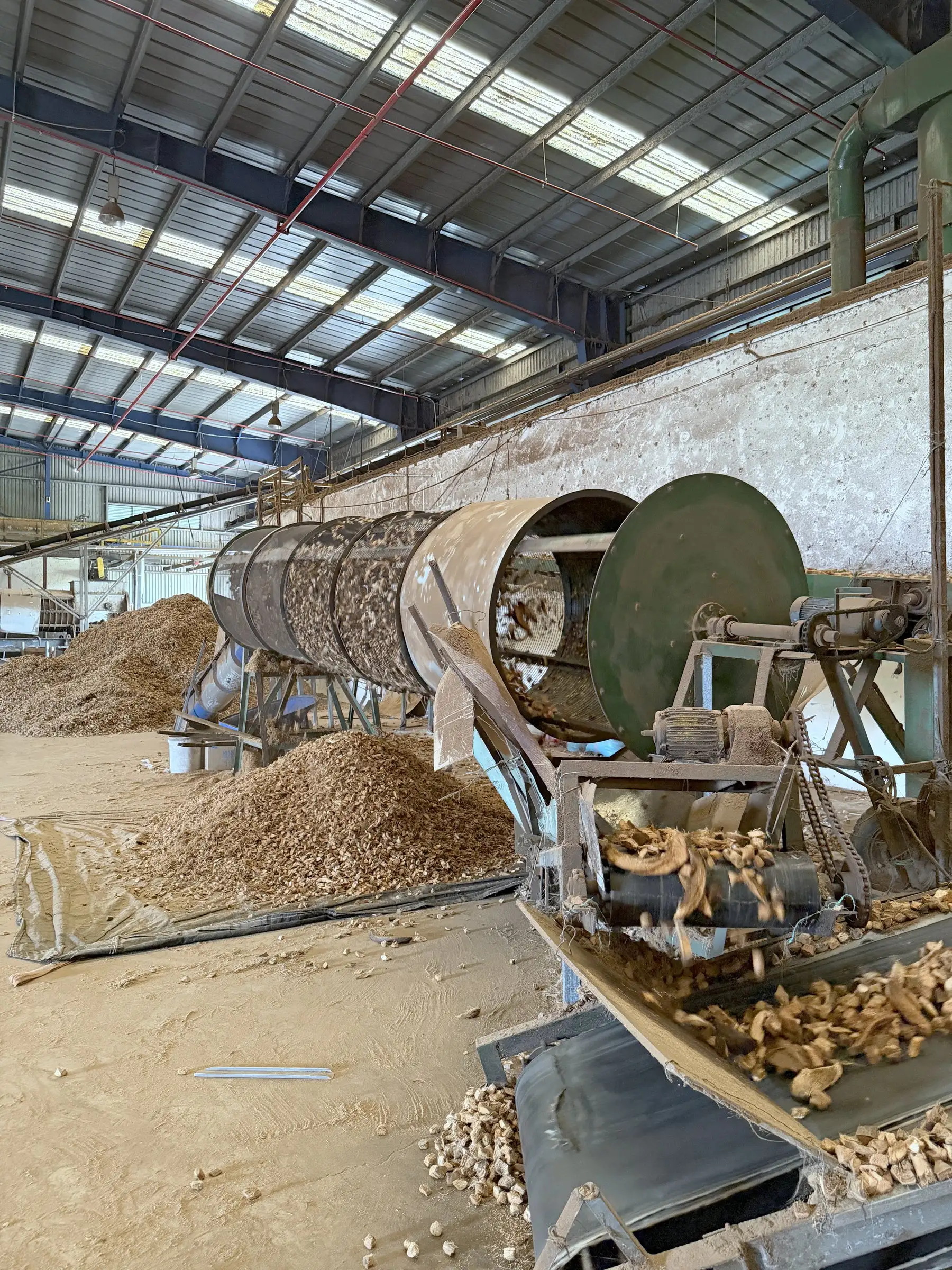 A rotating screening drum and conveyor sorting coconut husk pieces inside the workshop